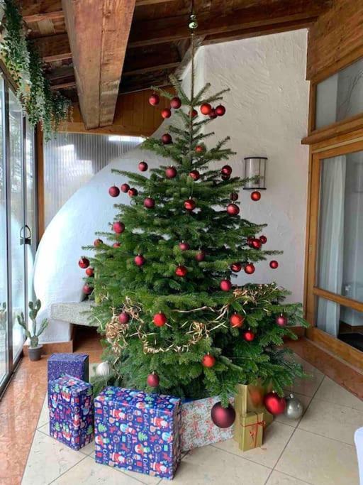 Whole Villa Munich, Alps View, Quiet And Spacious 펠드키르첸-웨스테르함 외부 사진
